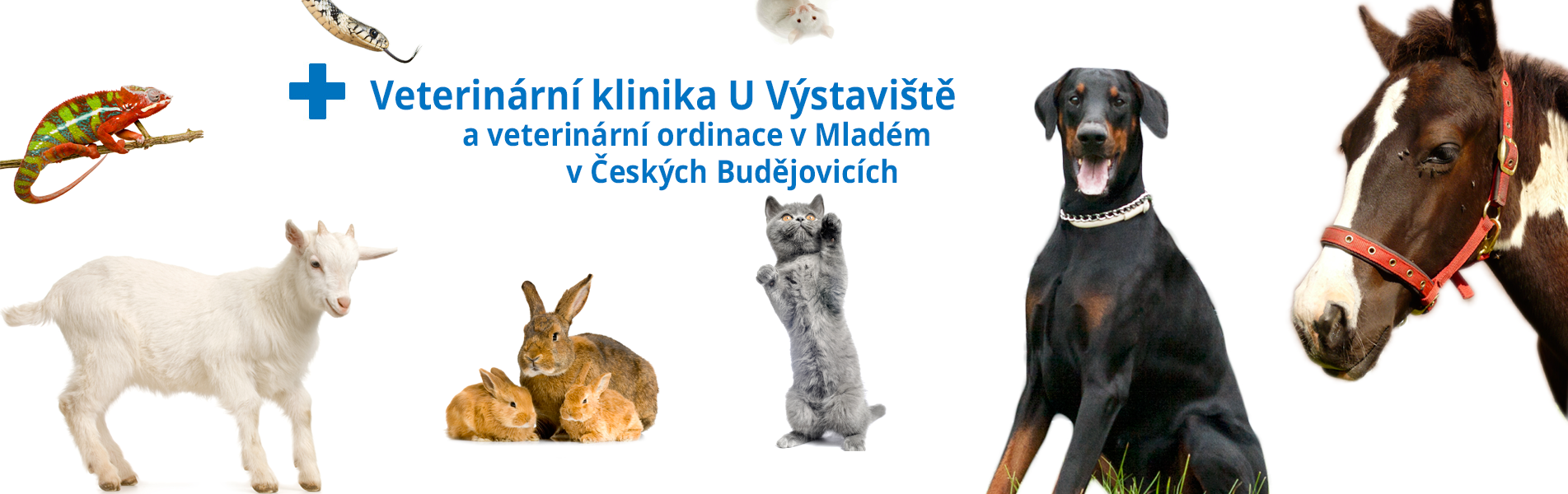 Veterinární klinika U výstaviště České Budějovice